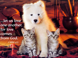let-us-love-one-another-for-love-comes-from-god-bible-quote